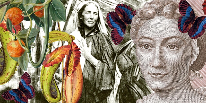 A Feminist’s Guide to </br> Botany